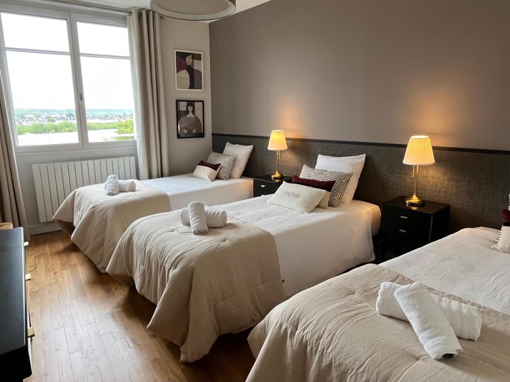 Coeur De Blois Charmant Appart Louis XII Vue Loire Экстерьер фото